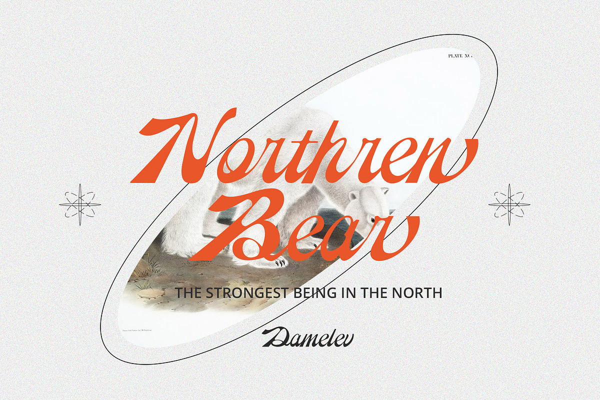 Reinhart Script, a Script Font by Damelev (Photo 4 of 9)