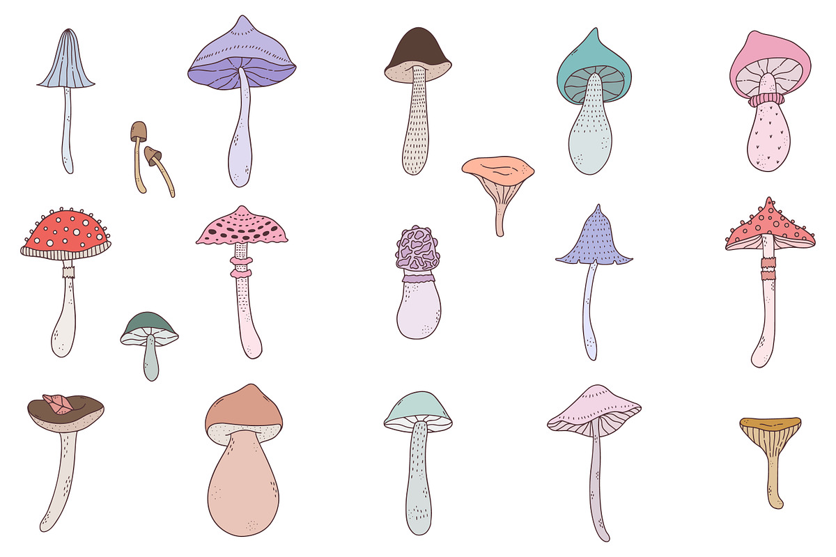 FALL DOODLES. EPS, PNG., an Illustration by Sentimental postman (Photo 5 of 14)