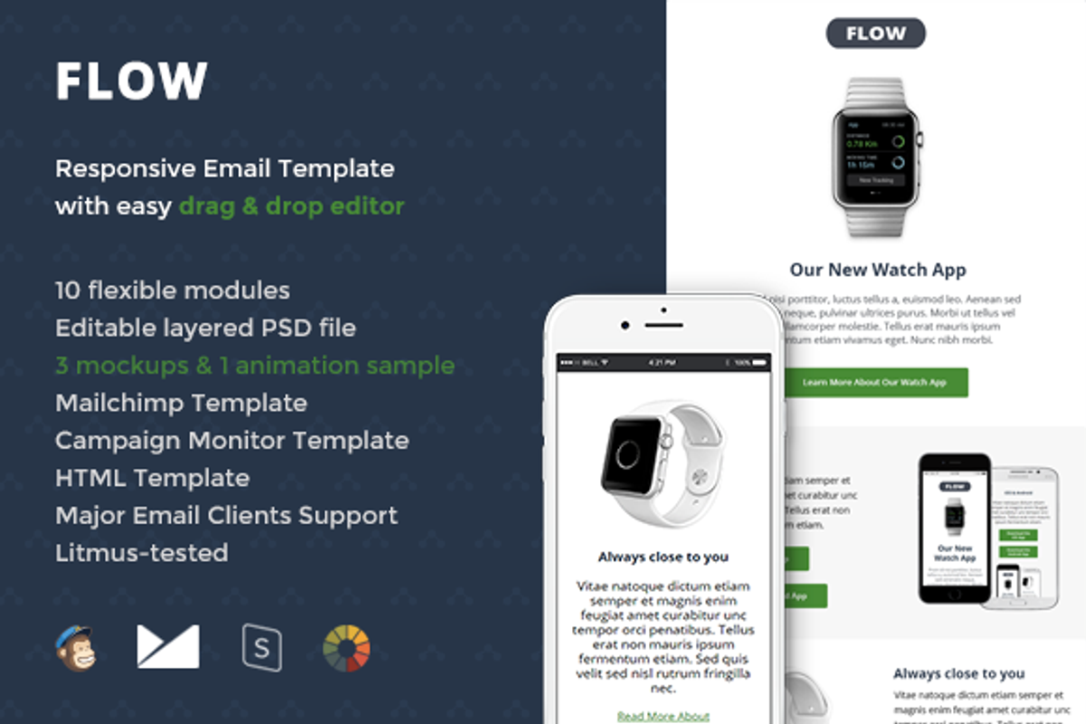 Flow Email Template + Builder, an Email Template by Digico (Photo 1 of 5)