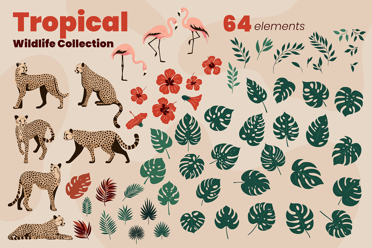 Tropical Wildlife Collection, a Decorative Illustration by moja doodle (Photo 8 of 8)