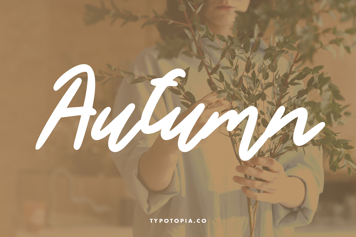 Sunday Handwritten Script Font, a Script Font by edukka (Photo 2 of 7)