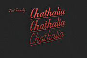 Chathalia Font Family, a Serif Font by danti (Thumbnail 2 of 7)