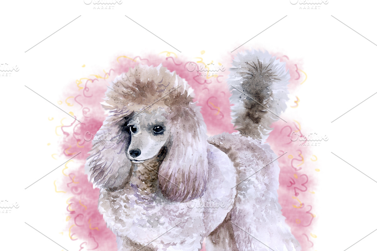 Watercolor Dogs Mega Big Bundle, an Illustration by Dneprstock (Photo 53 of 60)