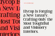 Meglo - Elegant Modern Serif Font, a Serif Font by Pekotype (Thumbnail 7 of 15)