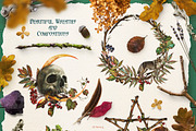 Mabon Celtic Autumn Watercolor Set, an Illustration by Fluffy Unicorn (Thumbnail 7 of 11)