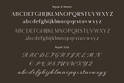 Macline Luxury clean elegant pairing, a Script Font by WhymoreArt (Thumbnail 9 of 10)