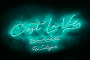 Rainmaker Script, a Script Font by Fenotype (Thumbnail 6 of 10)