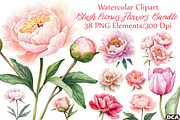 Watercolor Blush Peonies Flowers Cli, an Illustration by DreamCafeArt (Thumbnail 1 of 7)