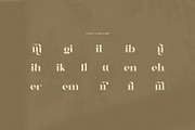 Rafina Elegant Serif Font, a Serif Font by Graphicxell (Thumbnail 8 of 8)
