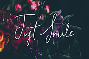 Song of the River Script Font, a Script Font by Creativeqube Design (Thumbnail 7 of 8)