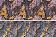 Cacoxenite Seamless Photo Patterns, a Pattern Graphic by DigitaI Craft Corner (Thumbnail 6 of 6)