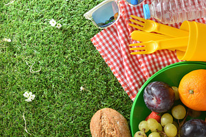 Top View Picnic Setup on Green Grass, a Holiday Photo by Davizro's Market