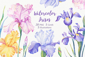 SALE! Watercolor Irises