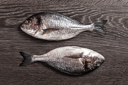 Fresh Dorado Fish On Salt And Dark Wooden Background Stock Photo Containing preview 6