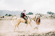Bundle 150+ Lightroom Presets, a Preset Add-On by Daily Studio (Thumbnail 8 of 10)