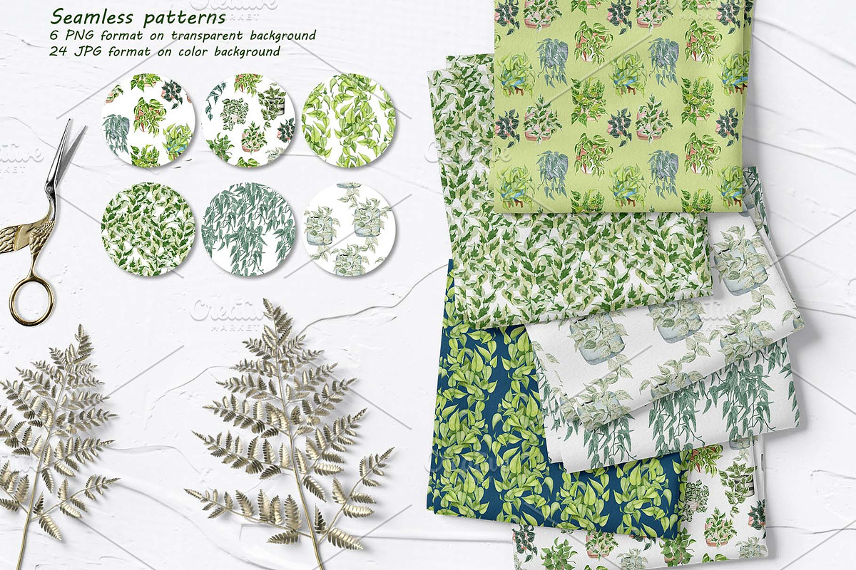 House Plants Watercolor Collection, an Object Graphic by BarvArt (Photo 6 of 8)