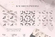 MOTHS & BUTTERFLIES illustration set, an Animal Illustration by Yuliia Lashevska (Thumbnail 11 of 13)