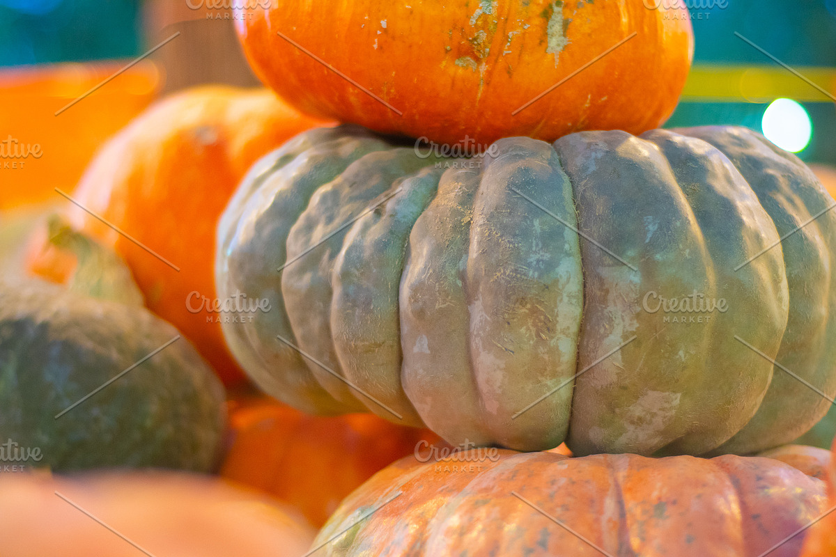Fall Pumpkin Stock Bundle, a Holiday Photo by r.r.palacios (Photo 5 of 15)