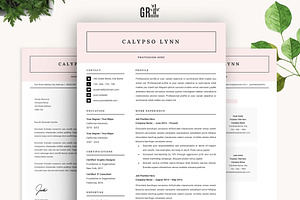 Resume Template For Microsoft Word