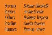 Shliterin Elegant Condensed Serif, a Serif Font by timelesstype.co (Thumbnail 13 of 15)