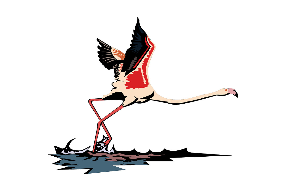 Greater flamingo vector illustration, an Animal Illustration by Sumberpangan (Photo 1 of 3)