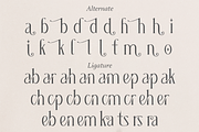 Grading - Modern Ligature Serif, a Serif Font by Pandeka Studio (Thumbnail 10 of 10)