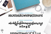 Premium Font Bundle, a Script Font by Flycatcher Design (Thumbnail 119 of 140)