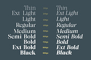 Almero Serif Family, a Serif Font by Zane Studio (Thumbnail 6 of 11)