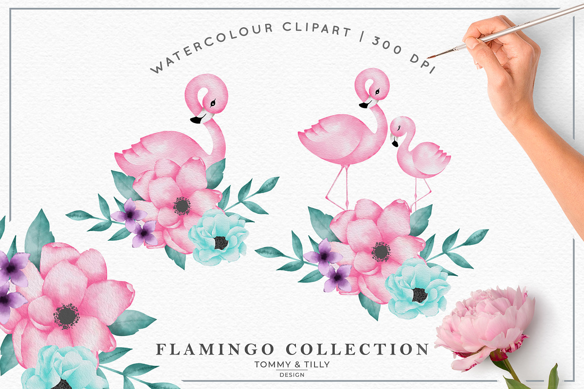 Watercolour Flamingo Collection, an Animal Illustration by Tommy & Tilly Design (Photo 3 of 5)