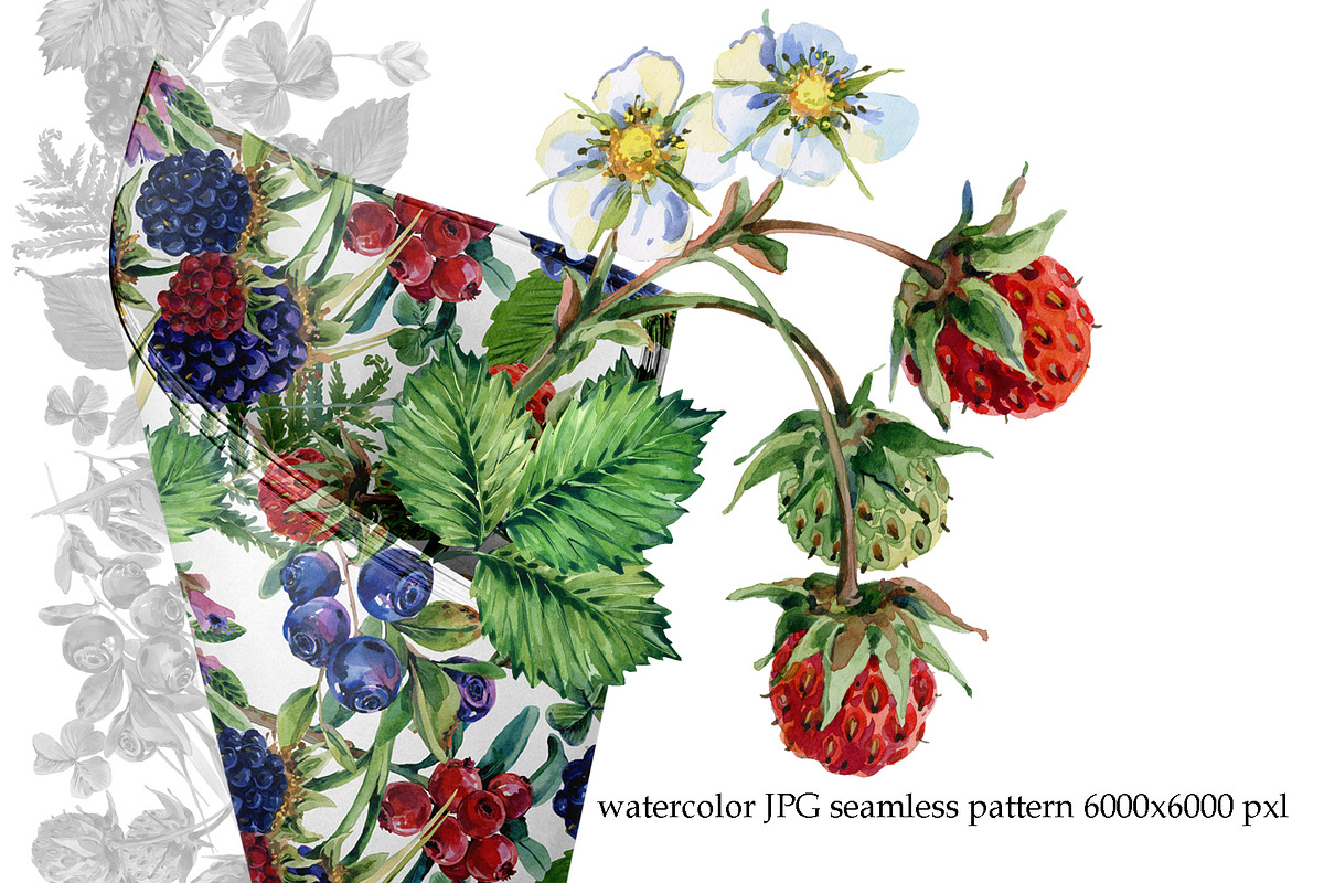 Watercolor Forest berryes, a Food Illustration by FineArt (Photo 7 of 8)