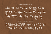 Amsterdam, a Handwritten Font by Mozatype (Thumbnail 10 of 10)