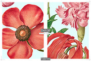 ZARELYN Floral Seamless pattern, a Pattern Graphic by Fabrivo (Thumbnail 9 of 10)
