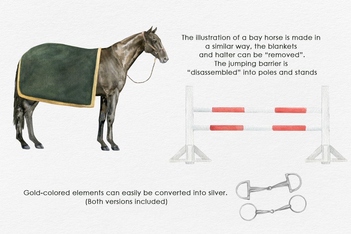 Horse sport watercolor clipart, a Sport Illustration by FerroDakora (Photo 4 of 7)