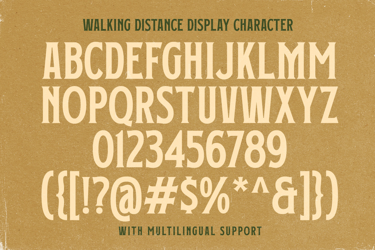 Walking Distance Crafted Font Duo, a Serif Font by Letterhend Studio