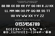 Bright Winter, a Script Font by FreshTypeINK (Thumbnail 3 of 8)