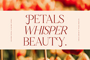 Nagista Modern Serif Font, a Serif Font by Letterena Studios (Thumbnail 2 of 15)