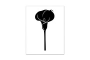 Black Lily Flower Vector Bundle, an Illustration by Designs_River (Thumbnail 19 of 51)
