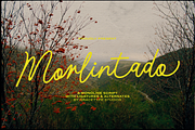 Morlintado | Monoline Script, a Script Font by gracetype_studio (Thumbnail 1 of 12)