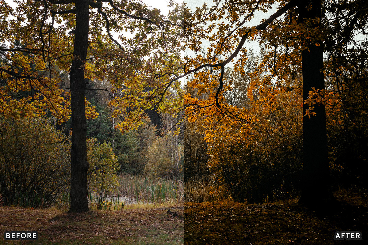 Misty Autumn Forest Presets, a Preset Add-On by AAA Presets (Photo 13 of 13)