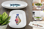Watercolor Fish Clipart (big set), a Decorative Illustration by Sunshine Art Shop (Thumbnail 8 of 13)