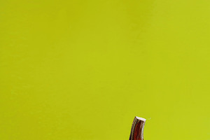 Minimal orange pumpkin on lime green Halloween background, a Food & Drink Photo by José Manuel Gelpi