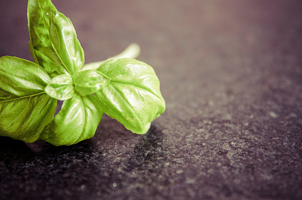 Chillies Stock Picture preview 6