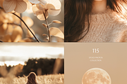115 Beige Autumn Styled Stock Photos, a Photo by Allure Art (Thumbnail 9 of 30)