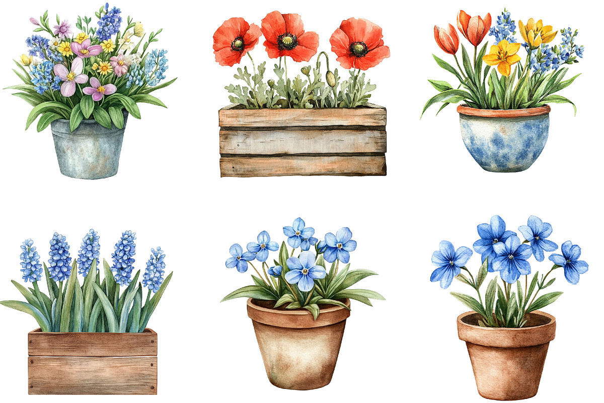 Colorful Flowers Arrangements, an Illustration by Designking (Photo 5 of 5)