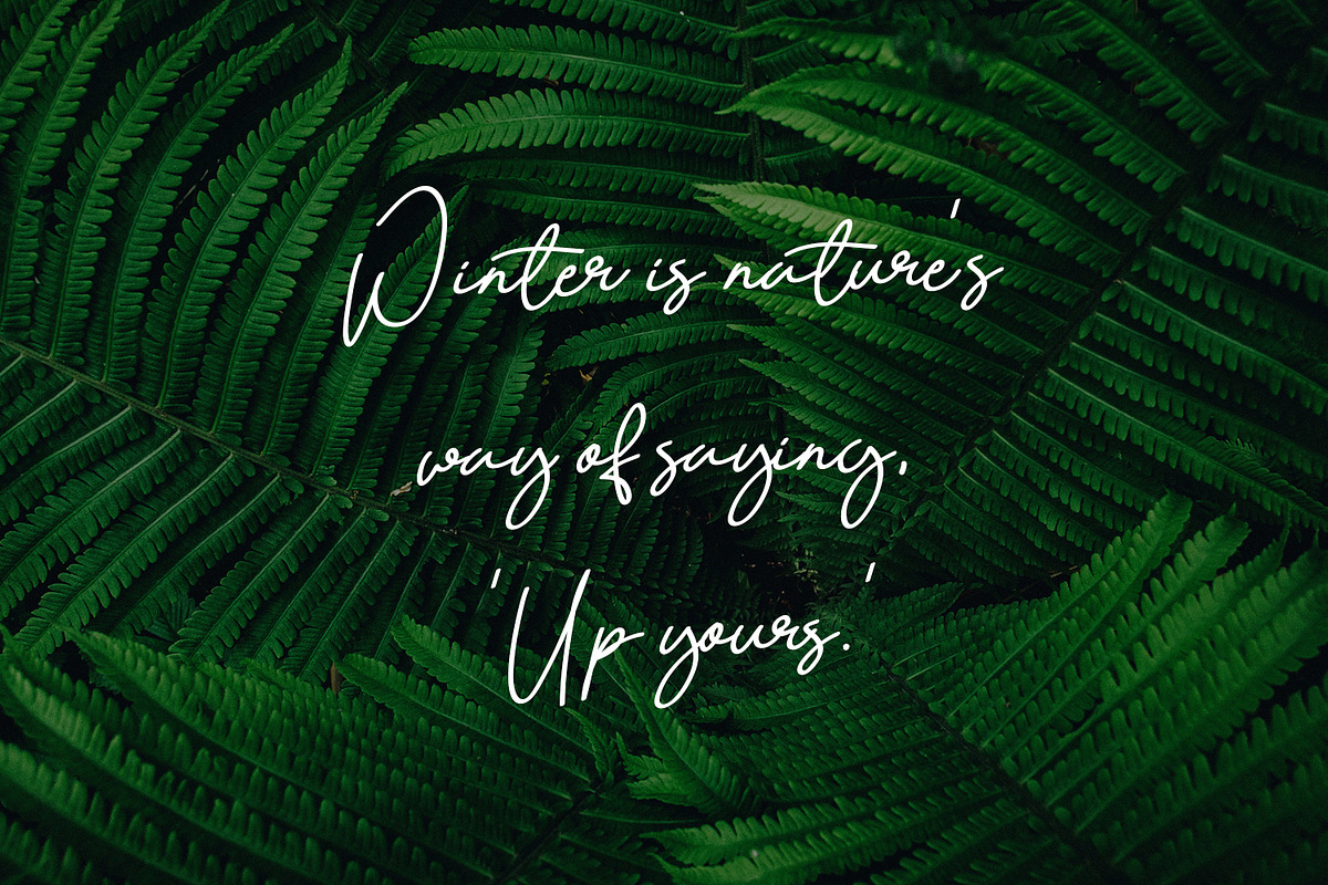 Quetzalli - Signature Font preview 4