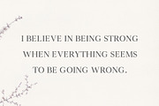 Denish Sans & Serif Duo Font Family, a Serif Font by Creativetacos (Thumbnail 2 of 12)