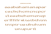 Yasiroh - Modern Serif Font, a Serif Font by Sronstudio (Thumbnail 4 of 19)