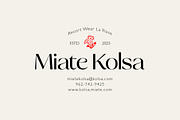 Talesha Font Family, a Serif Font by Seniors (Thumbnail 13 of 30)