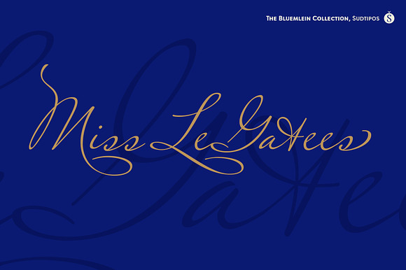 Miss Le Gatees Pro preview 7