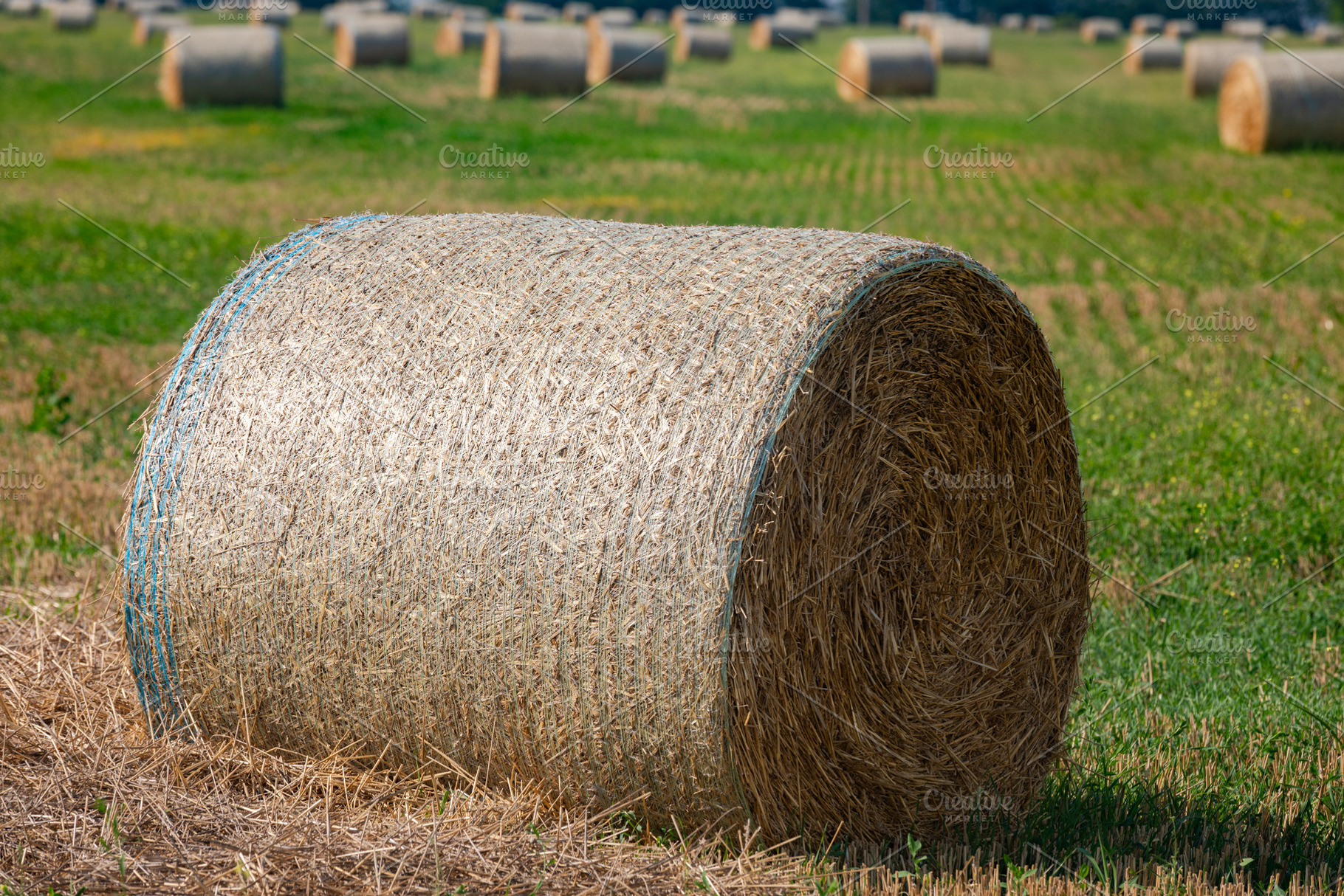 Large round hay bale resting on a green field, with multiple bales in the backg, a Nature Photo by Ales Munt